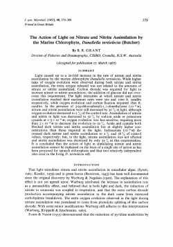 The Action of Light on Nitrate and Nitrite Assimilation