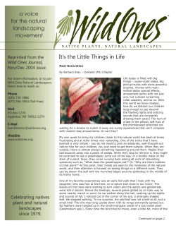It`s the Little Things in Life