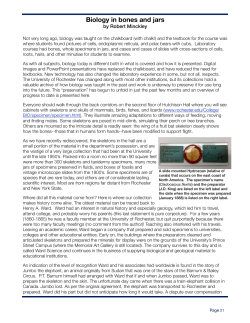 original article - School of Arts and Sciences