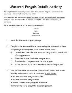 Macaroni Penguin Details Activity
