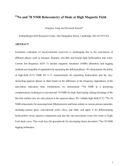 23Na and 1H NMR Relaxometry of Shale at High Magnetic Field