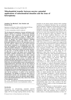 Mitochondrial transfer between oocytes: potential applications of