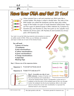 Edible DNA Modeling