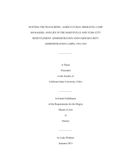 A Thesis by Luke Widener - California State University