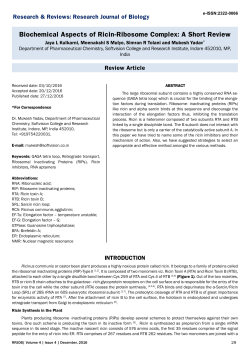 Biochemical Aspects of Ricin-Ribosome Complex