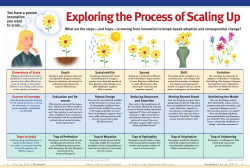 Exploring the Process of Scaling Up
