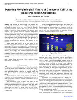 Detecting Morphological Nature of Cancerous Cell Using Image