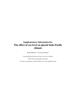 The effect of sea level on glacial Indo