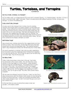Turtles, Tortoises, and Terrapins