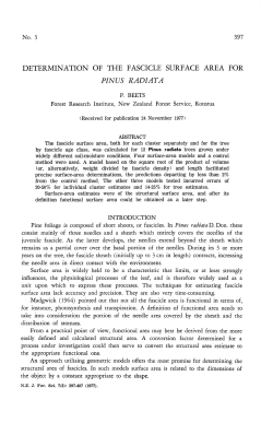 determination of the fascicle surface area for pinus