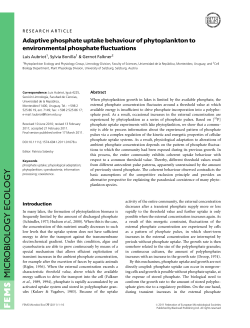 Adaptive phosphate uptake behaviour of phytoplankton to