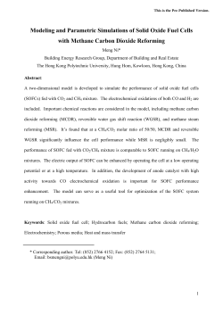 Modeling and Parametric Simulations of Solid Oxide Fuel Cells with