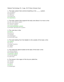 Medical Terminology Ch. 2 pgs. 49