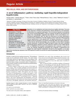 A novel inflammatory pathway mediating rapid hepcidin