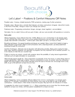 Labor Positions Cliff Notes