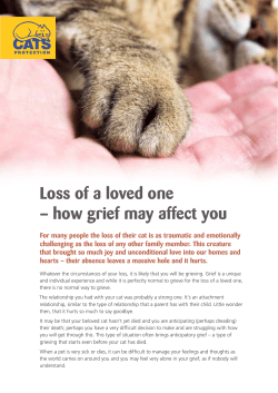 Loss of a loved one – how grief may affect you