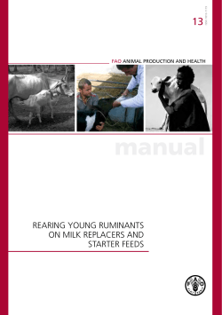 Rearing young ruminants on milk replacers and starter feeds
