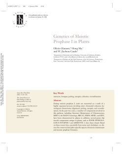 Genetics of Meiotic Prophase I in Plants