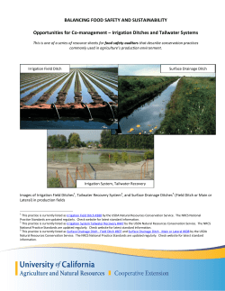 Irrigation Ditches and Tailwater Systems