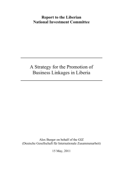 A strategy for the Promotion of Business Linkages in