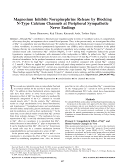 Magnesium Inhibits Norepinephrine Release by