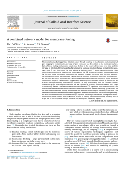 A combined network model for membrane fouling