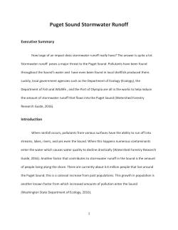 Puget Sound Stormwater Runoff