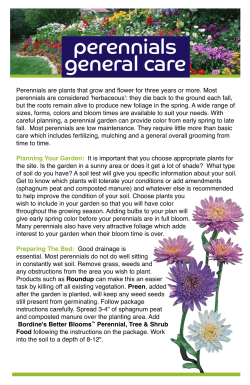 perennials general care