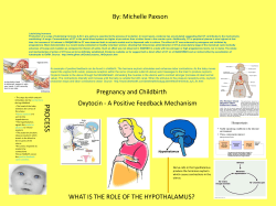 Nerve cells in the hypothalamus produce the hormone