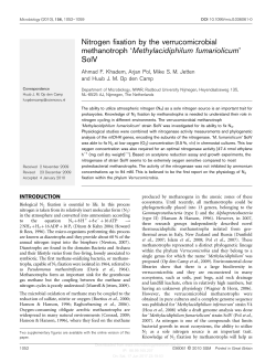 Nitrogen fixation by the verrucomicrobial methanotroph