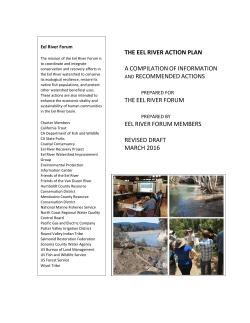 the eel river action plan