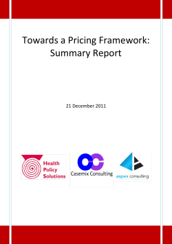 Towards a Pricing Framework: Summary Report
