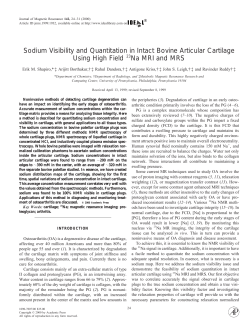 Sodium Visibility and Quantitation in Intact Bovine Articular Cartilage