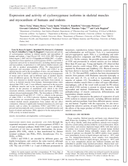Full PDF - American Journal of Physiology