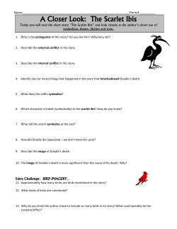 A Closer Look: The Scarlet Ibis