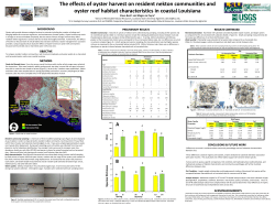 background objective methods preliminary results conclusions