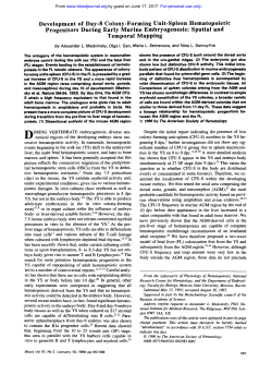 Development of Day-8 Colony-Forming Unit-Spleen