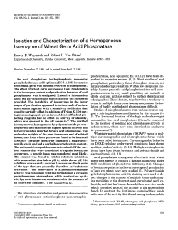 Isolation and Characterization of a Homogeneous lsoenzyme of