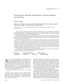 Giant anterior clinoidal meningiomas: surgical technique and