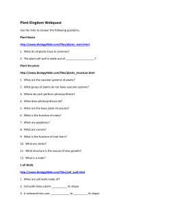 Plant Kingdom Webquest