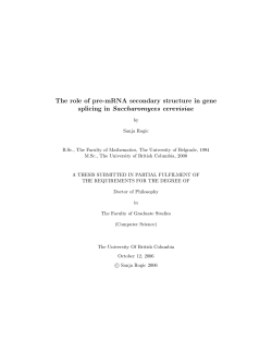 The role of pre-mRNA secondary structure in gene splicing in