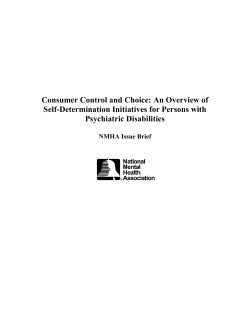 Consumer Control and Choice: An Overview of Self