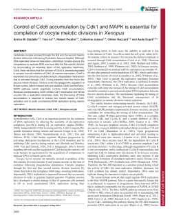 Control of Cdc6 accumulation by Cdk1 and MAPK is essential for