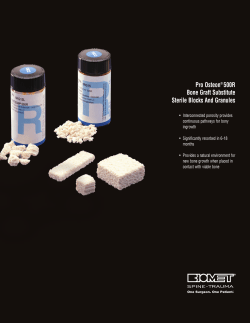 Pro Osteon&reg; 500R Bone Graft Substitute Sterile Blocks And Granules