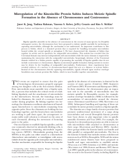 Misregulation of the Kinesin-like Protein Subito Induces