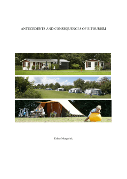 antecedents and consequences of e-tourism