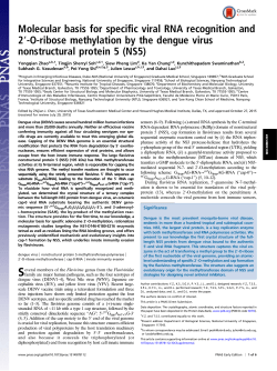 Molecular basis for specific viral RNA recognition and 2&prime;-O
