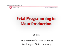 Project 5: Obesity, AMP-activated protein kinase, and fetal and
