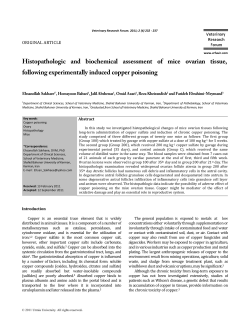 Histopathologic and biochemical assessment of mice ovarian tissue