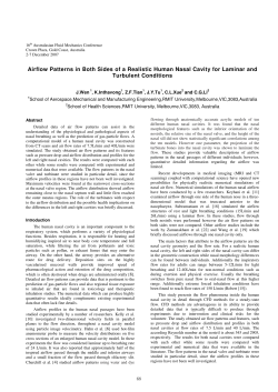 Airflow Patterns in Both Sides of a Realistic Human Nasal Cavity for